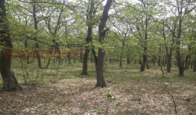 ������� ���������� ���� | Imot.bg � ����� ������ 2