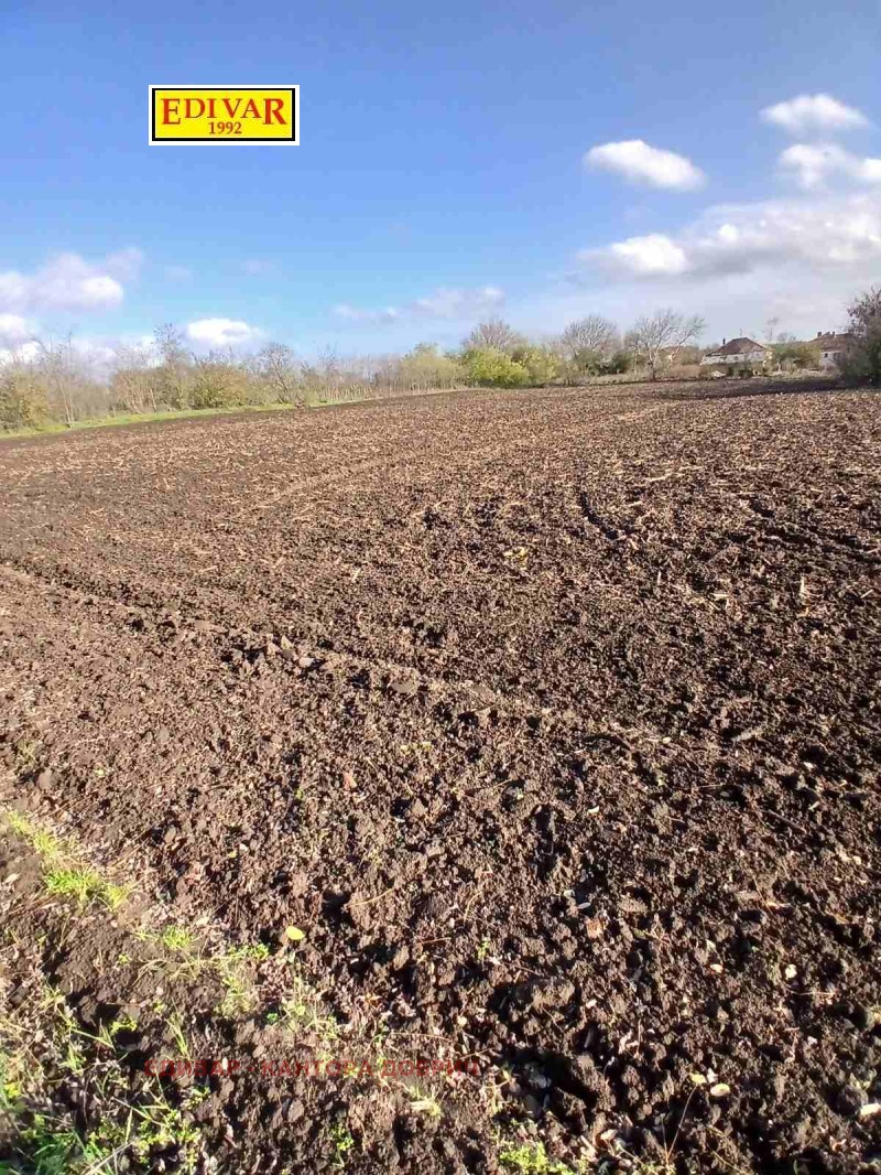 Продава ПАРЦЕЛ, област Добрич, с. Лясково • 10000 лв. / 5112.92 € • 87412023 1