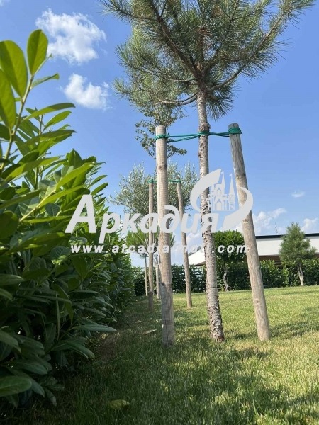 Продава КЪЩА | Imot.bg — изображение 14