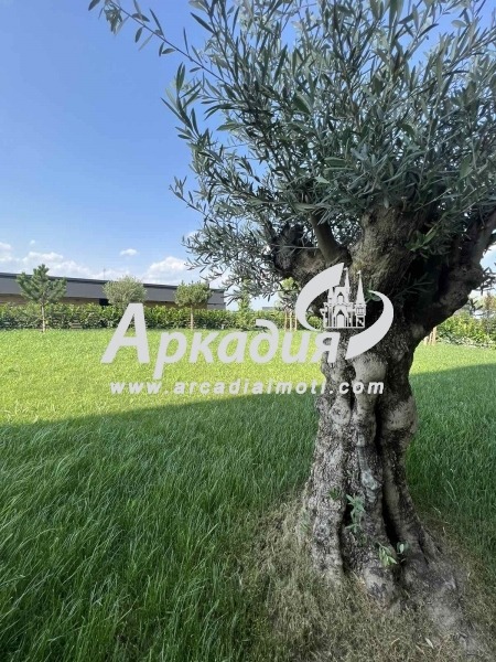 Продава КЪЩА | Imot.bg — изображение 13