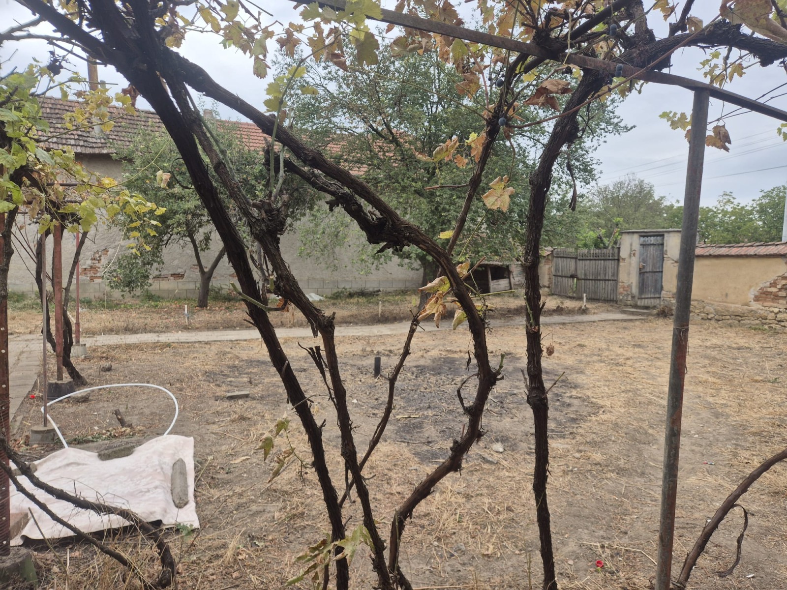 ������� ���� | Imot.bg � ����������� 16