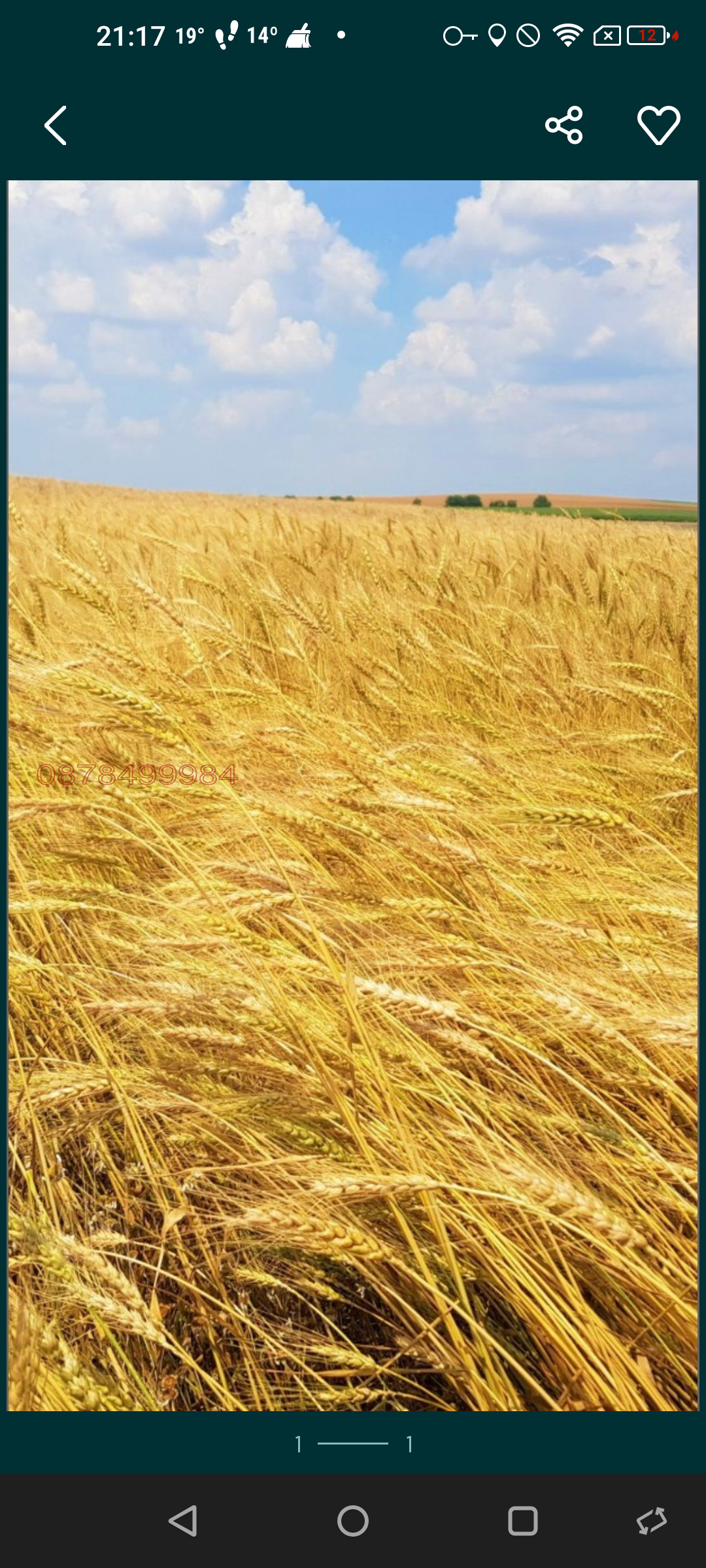 Продава ЗЕМЕДЕЛСКА ЗЕМЯ, с. Мусина, област Велико Търново