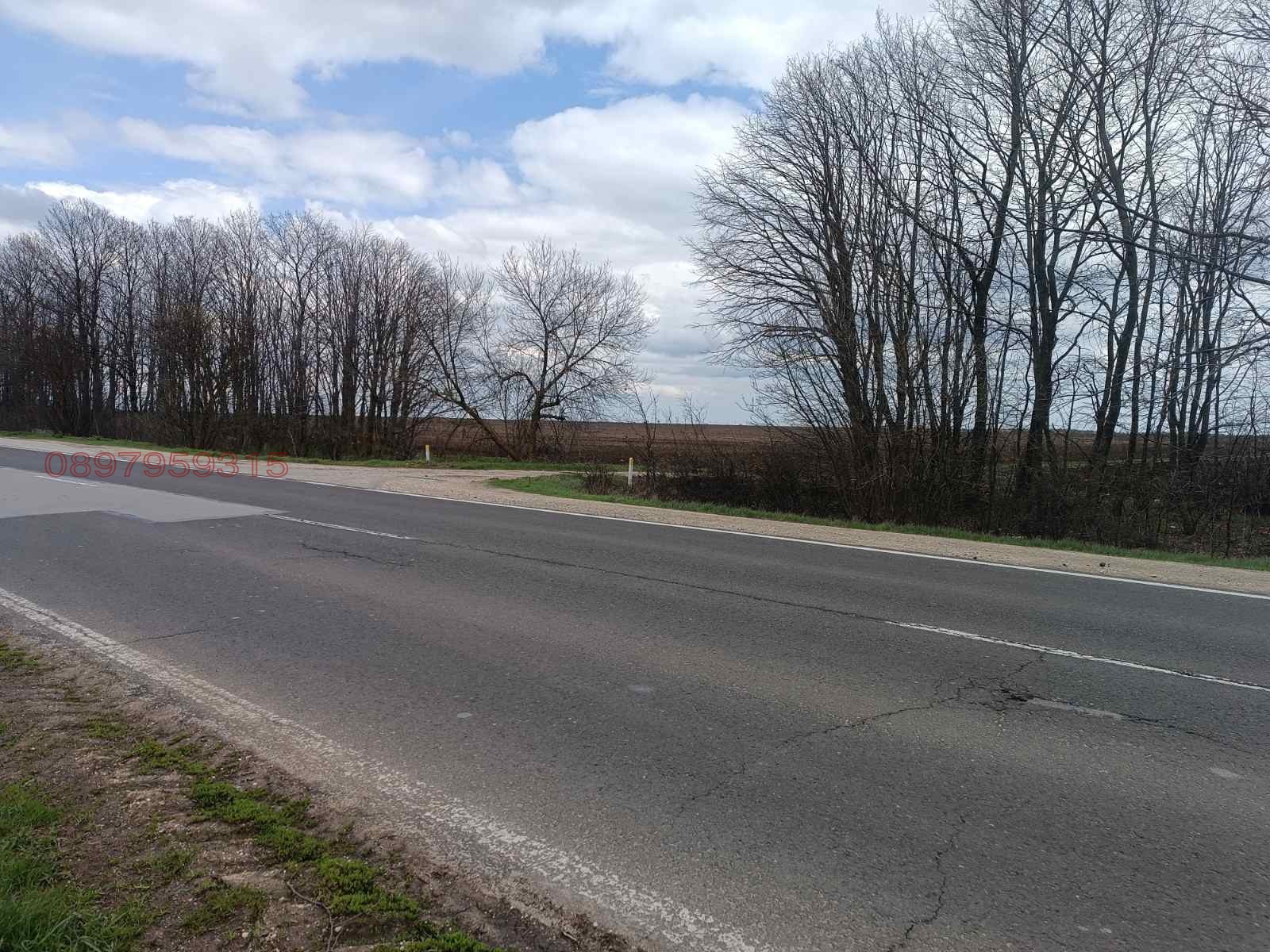 Продава ЗЕМЕДЕЛСКА ЗЕМЯ, с. Оброчище, област Добрич, снимка 3 - Земеделска земя - 54160442