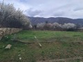Продава ПАРЦЕЛ, област Пловдив, с. Иганово • 60000 лв. • 85377322 — Holmes.bg