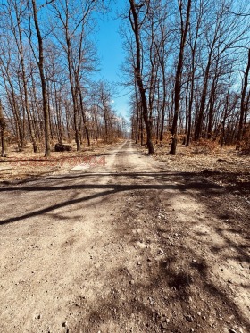 ������� ������ | Imot.bg � ����� ������ 4