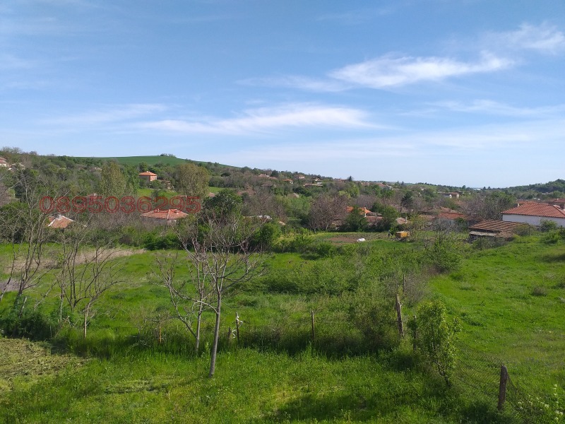 Продава КЪЩА, с. Левка, област Хасково, снимка 4 - Къщи - 52783271