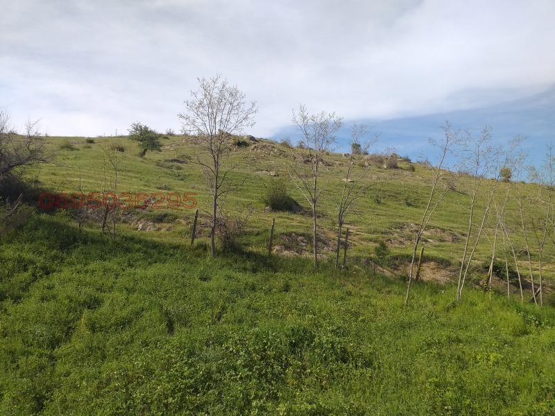 Продава КЪЩА, с. Левка, област Хасково, снимка 5 - Къщи - 52783271