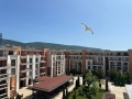 Продава 2-СТАЕН, област Бургас, к.к. Слънчев бряг • 153000 € / 299241.99 лв. • 45903173 6