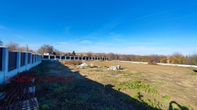 Парцел с. Ново село, област Велико Търново 1