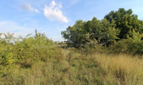 ������� ������ | Imot.bg � ����� ������ 6