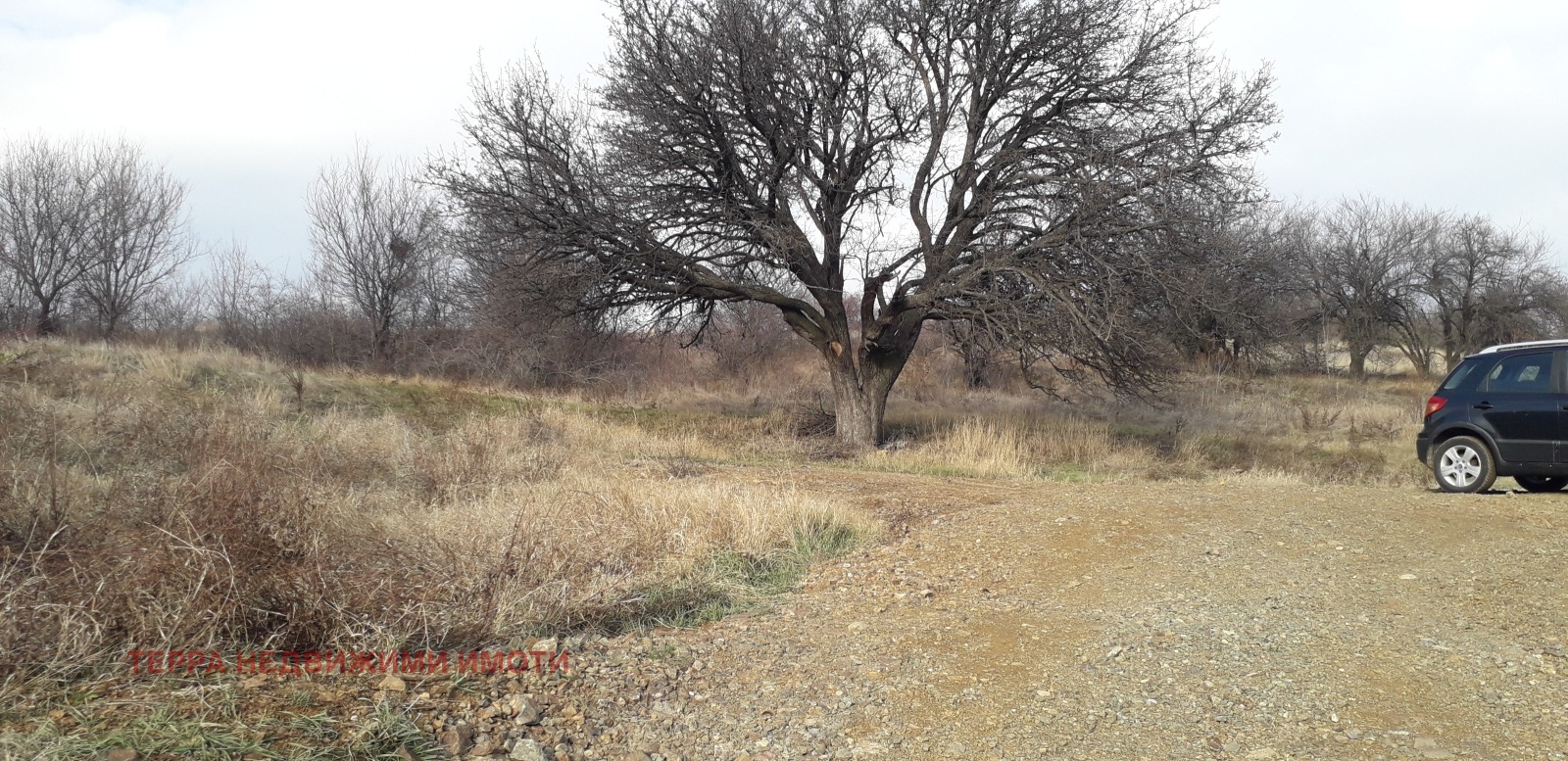 ������� ������ | Imot.bg � ����������� 1