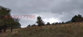   | Imot.bg    8