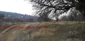 ����� ������� ������,���� �����, �. ���������>