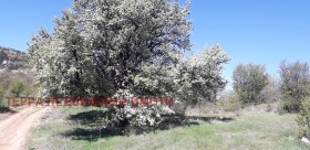 ������� ������ | Imot.bg � ����� ������ 5