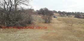 ����� ������� ������,���� �����, �. ���������