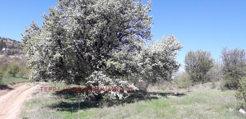 Продава ПАРЦЕЛ, гр. София, с. Панчарево, снимка 4 - Парцели - 53248551