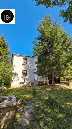 ������ ������� ����