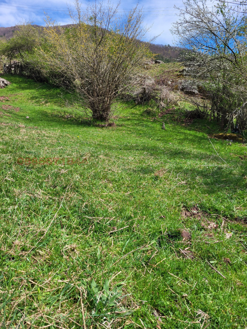 Til salgs  Plott region Plovdiv , Belitsa , 1150 kvm | 84661057
