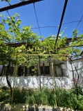 Продава КЪЩА, с. Ясен, област Плевен, снимка 13