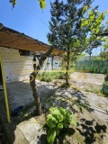 Продава КЪЩА, с. Ясен, област Плевен, снимка 4