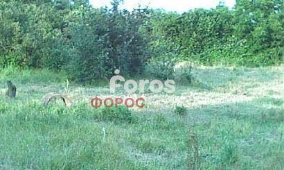 ������� ������ | Imot.bg � ����������� 3