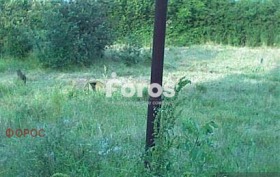 ����� ������� ������,���� ������, �-�� ��������>