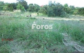 ����� ������� ������,���� ������, �-�� ��������