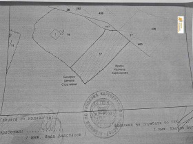 ����� ������� ������,�. �����������, ������ ������ �������