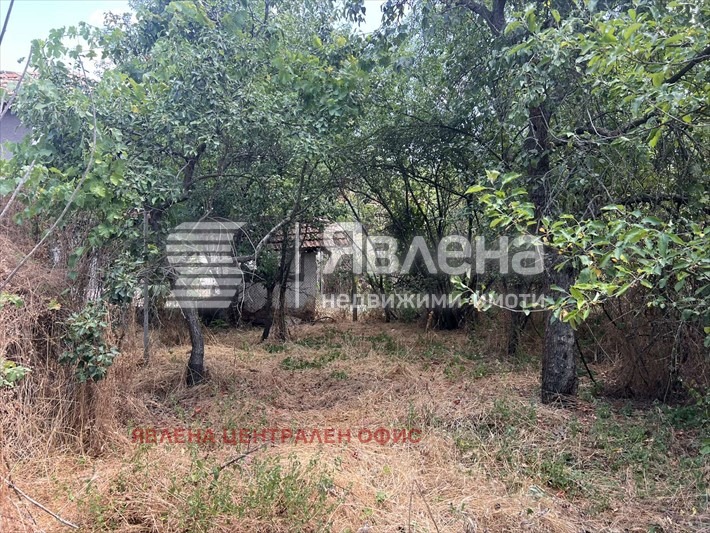 Продава КЪЩА, с. Шишковци, област Кюстендил, снимка 6 - Къщи - 53687028