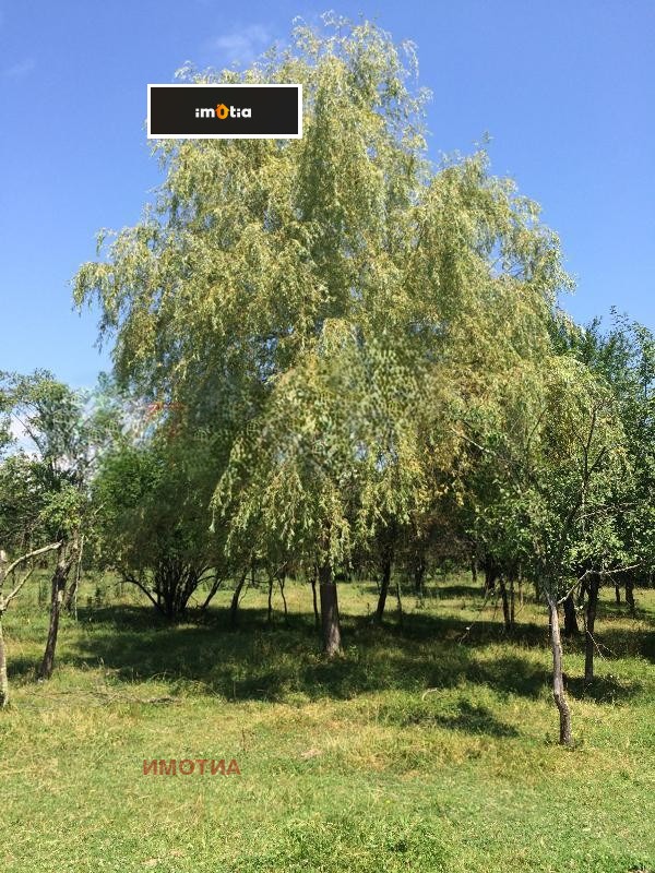 Продава ПАРЦЕЛ, с. Борима, област Ловеч, снимка 2 - Парцели - 52734054