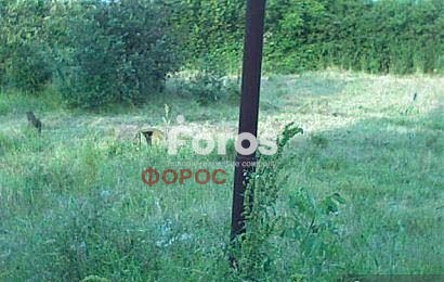 Продава ПАРЦЕЛ, гр. Бургас, м-ст Каменица, снимка 4 - Парцели - 53008571