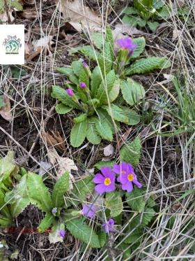 ������� ���� | Imot.bg � ����� ������ 4