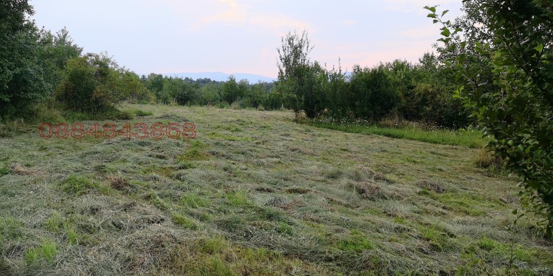 Продава ПАРЦЕЛ, с. Костел, област Велико Търново, снимка 2 - Парцели - 53006456