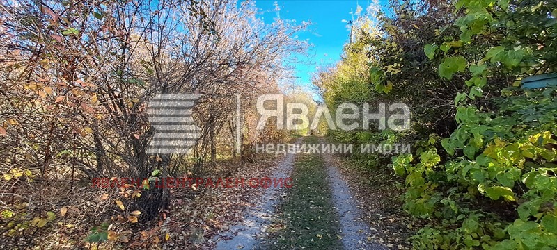 ������� ������ | Imot.bg � ����������� 8