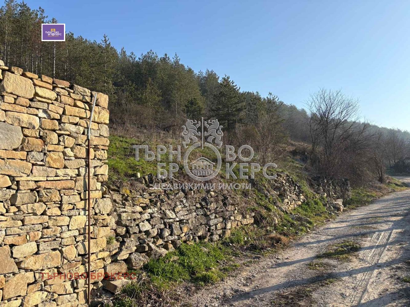 ������� ������ | Imot.bg � ����������� 5