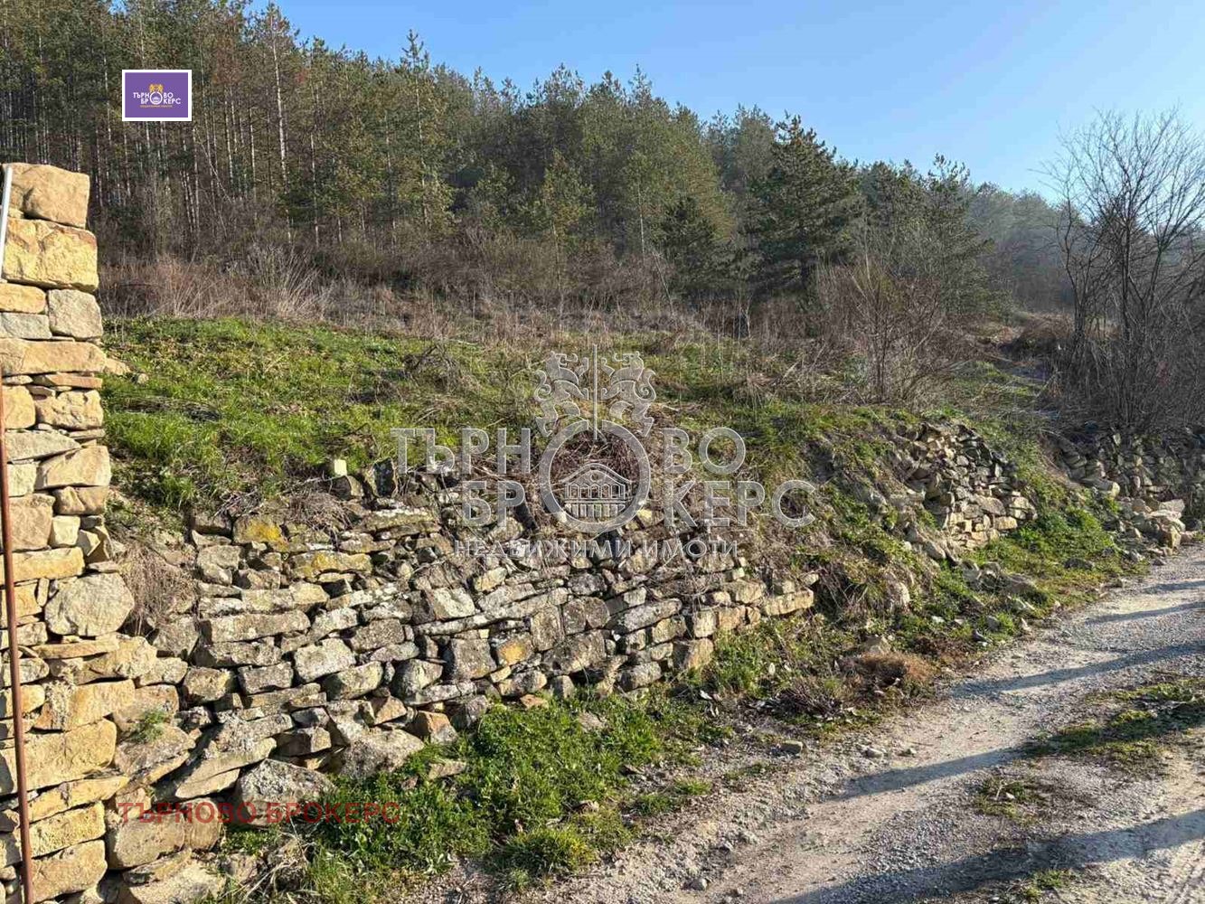 ������� ������ | Imot.bg � ����������� 8