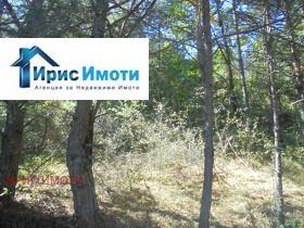   | Imot.bg    3