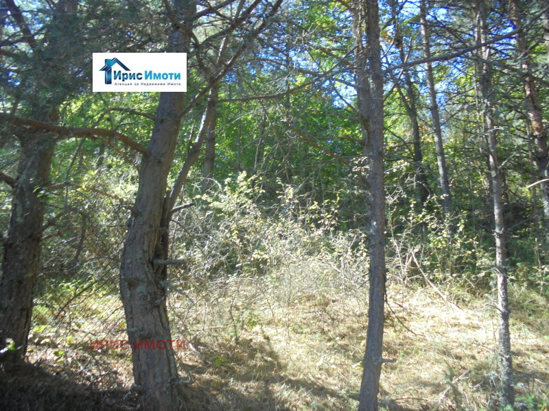 Προς πώληση  Βίλα περιοχή Σόφια , Βελτσην , 160 τ.μ | 26381959 - εικόνα [3]