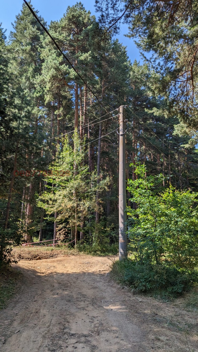 Продава ЗЕМЕДЕЛСКА ЗЕМЯ, с. Бойково, област Пловдив, снимка 13 - Земеделска земя - 52933218