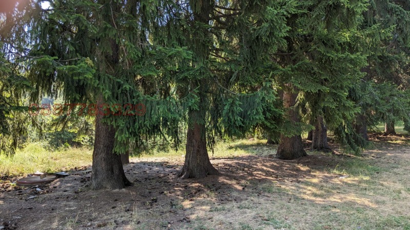 Продава ЗЕМЕДЕЛСКА ЗЕМЯ, с. Бойково, област Пловдив, снимка 7 - Земеделска земя - 52933218