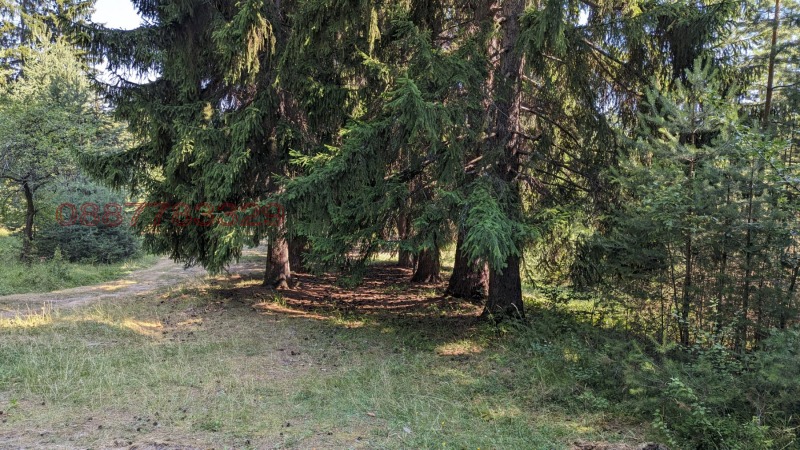 Продава ЗЕМЕДЕЛСКА ЗЕМЯ, с. Бойково, област Пловдив, снимка 10 - Земеделска земя - 52933218