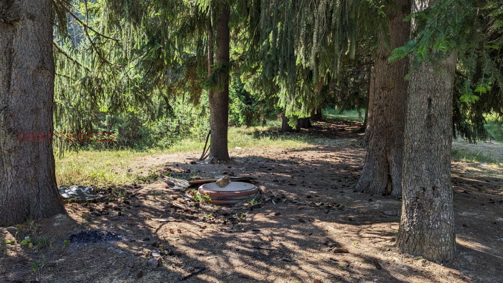 Продава ЗЕМЕДЕЛСКА ЗЕМЯ, с. Бойково, област Пловдив, снимка 9 - Земеделска земя - 53937582