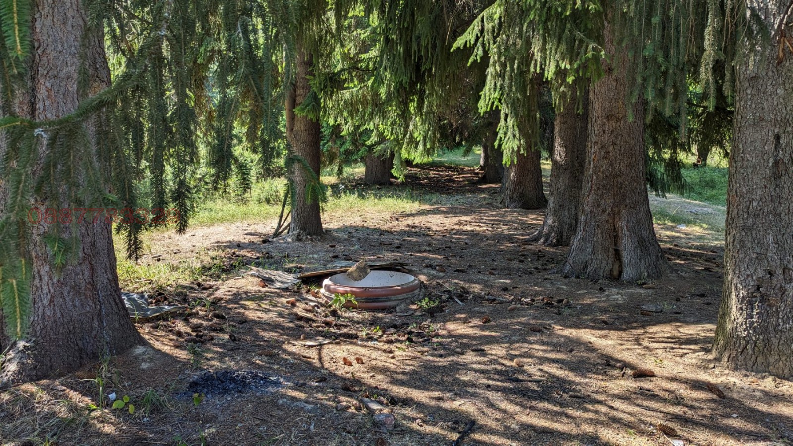 Продава ЗЕМЕДЕЛСКА ЗЕМЯ, с. Бойково, област Пловдив, снимка 14 - Земеделска земя - 53937582