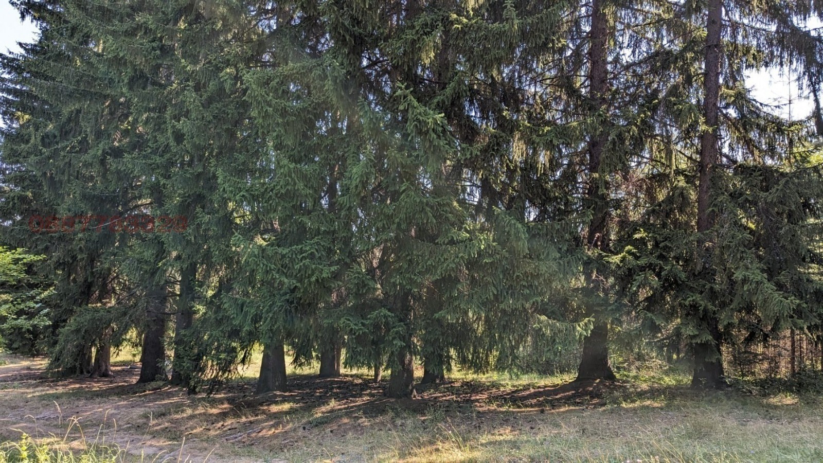 Продава ЗЕМЕДЕЛСКА ЗЕМЯ, с. Бойково, област Пловдив, снимка 11 - Земеделска земя - 53937582