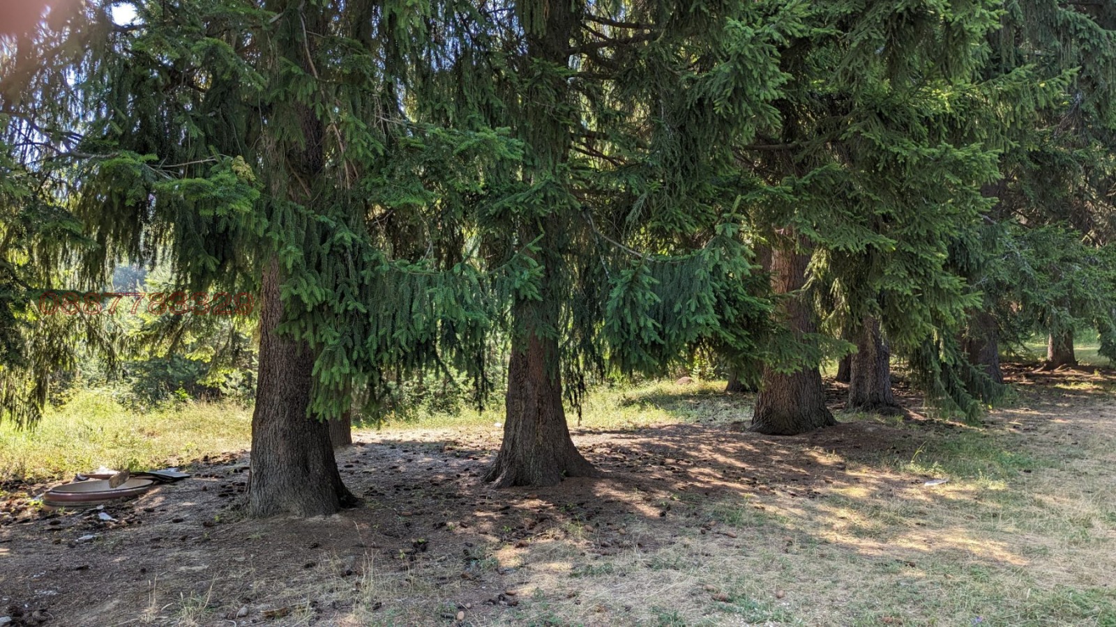 Продава ЗЕМЕДЕЛСКА ЗЕМЯ, с. Бойково, област Пловдив, снимка 7 - Земеделска земя - 53937582