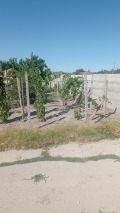 Продава КЪЩА, област Шумен, с. Новосел • 75000 лв. • 63311213 — Holmes.bg