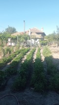 Продава КЪЩА, област Шумен, с. Новосел • 75000 лв. • 63311213 — Holmes.bg