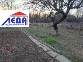 Casa m-t Orleto, Pleven 4