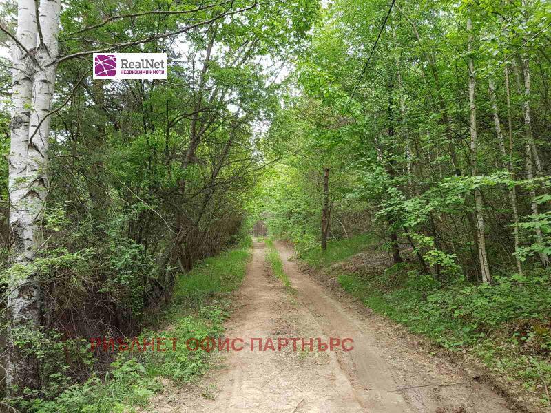 For Sale  Plot region Sofia , Belchin , 588 sq.m | 17291889 - image [7]