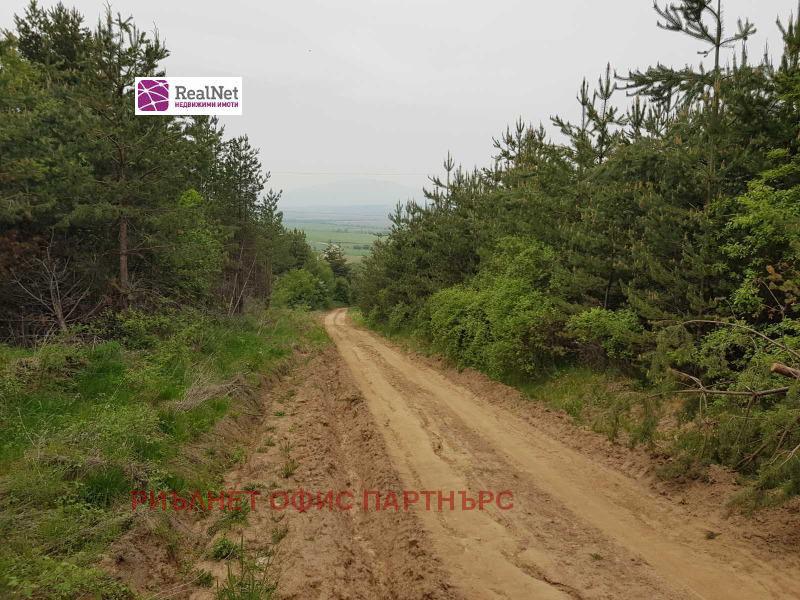 For Sale  Plot region Sofia , Belchin , 588 sq.m | 17291889 - image [4]